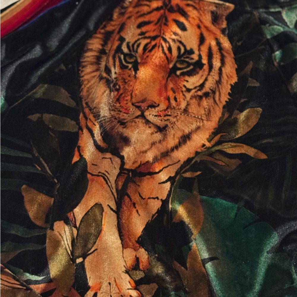 Aviator Nation Green Velvet Tiger-Print Jogger Set - Picture 8 of 15